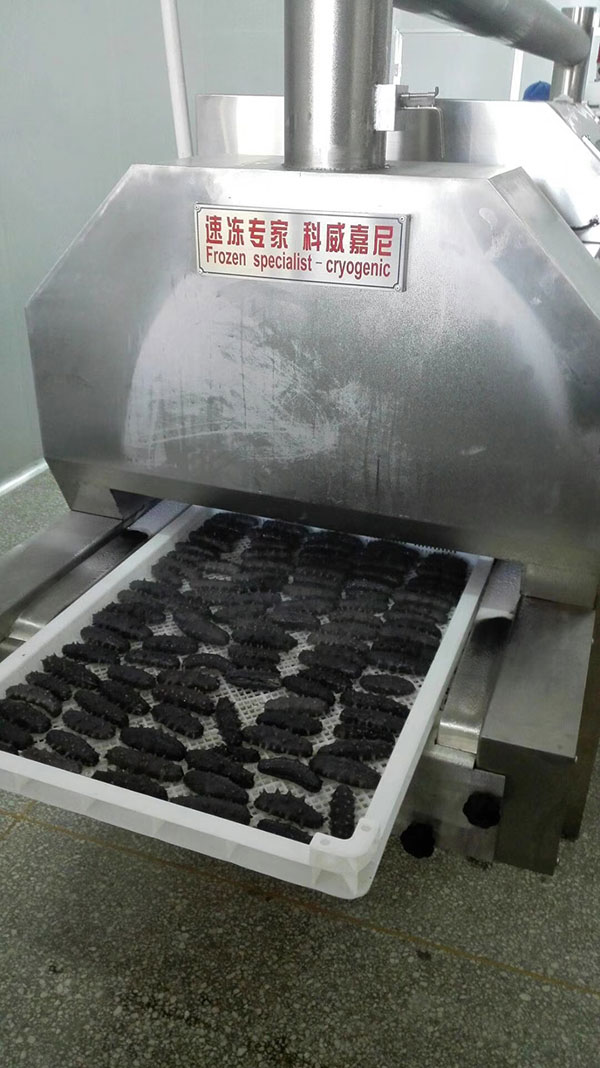科威嘉尼